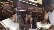 Man caught in viral video marking register for his goats, the animals respond to the surprise of many