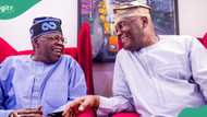 Why APC, Tinubu may win 2027 presidential election, PDP opens up