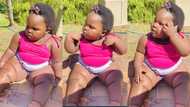 "She's only 16 months old": Plumpy baby endowed with great beauty plays in open area, video goes viral
