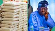 Nigerians groan over access to FG’s N40k rice: “Middlemen might take advantage”