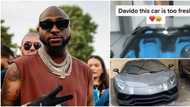 "God please I don't want to be a mechanic": Lady reacts after spotting Davido's Lamborghini, video trends