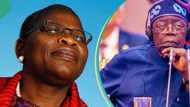 Chicago State University: How President Tinubu embarrassed Nigeria, Oby Ezekwesili speaks out