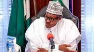 After Magu, more heads to roll as Buhari vows to probe corruption in past, present govts, reels out achievements