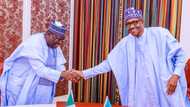 Buhari writes Senate, requests confirmation of INEC, NURC nominees
