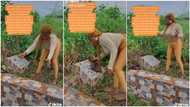Emotional moment Nigerian woman visited her husband's grave & cleaned his tombstone with cloth in video