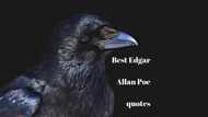 30 Edgar Allan Poe quotes to impress you