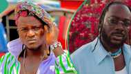 Portable taunts Adekunle Gold for reaching out to him for help, video stirs reactions: "Zazu get problem"