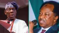 Shehu Sani asks crucial question as Obasanjo speaks on why democracy is not working in Africa