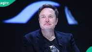 Elon Musk rewrites billionaire history, now N500bn richer than world 2nd wealthiest man