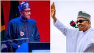 Former President Muhammadu Buhari in exile? Garba Shehu drops fresh details