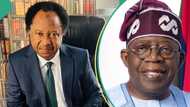 Shehu Sani speaks on time to start criticising Tinubu’s government