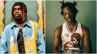 "Rema get money pass am normally": Reactions as Fireboy DML speaks on who's richest between him & Mavin singer