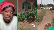 Lady who tried to use Google Map to find late father shares outcome in video, people react to clip