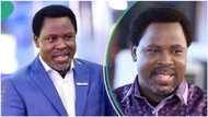 TB Joshua's SCOAN shut down after BBC documentary? Fact emerges