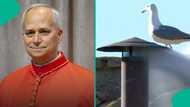 Pope Leo XIV: America's Robert Francis Prevost elected Catholic Pope