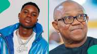 Peller shares what Peter Obi’s team wants from him ahead of 2027 elections