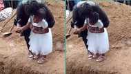 "The pain is too much for her": Little girl cries at mother's graveside, video stirs emotions