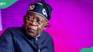 Tinubu shares why he supports Dangote, " A risk-taker"
