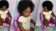 "I thought she was a doll": Little girl's beauty and full hair captivates netizens as video trends