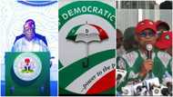 "President Tinubu plotting to upset Peter Obi, Labour Party's camp": PDP chieftain alleges