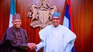 Buhari makes huge promise to Shettima as Tinubu's running mate visits Aso Villa after unveiling