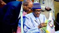 Emefiele 2023: Kusoshin APC sun dage, su na so Gwamnan CBN ya nemi Shugaban kasa