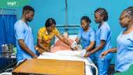 Best universities to study nursing in Nigeria: fees, cut-off marks, and everything you need to know