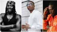 Grammy: Other African nations should give it up for Nigeria, Stonebwoy celebrates Wizkid and Burna Boy