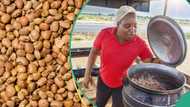 No more N55,000/100kg bag: Traders quote beans for new price across markets, Nigerians lament