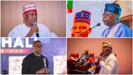 2023 presidency: Tinubu leads as states Obi, Atiku will win emerge in new polls