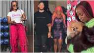 8 different shades of singer DJ Cuppy in her true element: From billionaire daughter to devoted lover