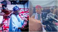 2023 presidency: Tinubu has capacity to manage social instability, APC chieftain reacts to Fitch’s predictions