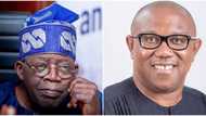 2023 Presidency: "Tinubu Will Get More Votes Than Obi in Anambra, Southeast," APC Chieftain predicts