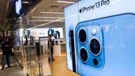 250 women poisoned at Apple factory in India as workers protest living conditions