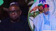 Has Tinubu never slept in other state apart from Lagos, as claimed by Peter Obi? Here is what we know