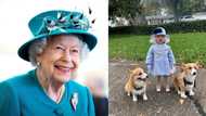 US child receives letter from Queen Elizabeth II after she dressed up like her