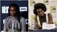 Danai Gurira: Playwright who acted in Black Panther picked to join production team for Americanah