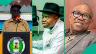 Full list of governors who have tagged Wike, Obi as security threats in 2025