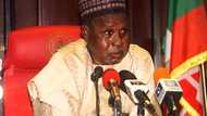 Insecurity: Nigerian governor discloses why kidnapping has become a business