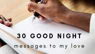 Best 30 ideas for a good night message to my love