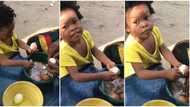 "It's her first fime": Fine little girl perfectly helps her grandmother to peel boiled eggs, video goes viral
