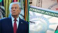 US publishes 3 ways people can apply for Green Card through employment, explains conditions
