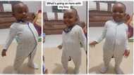 "Old soldier never dies": Viral video of baby demonstrating how to stand at attention causes stir on TikTok