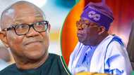 Peter Obi fumes as Tinubu, Shettima jet out of Nigeria amid worsening economic crisis