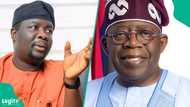 "Nigeria is safer and better now": Seyi Law defends Tinubu, praises economic reforms