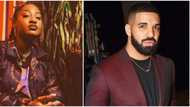 We are proud: Nigerians react as rapper Drake features Tems on new album Certified Lover Boy