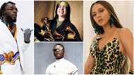 Grammy 2021: Full list of winners as Burna Boy, Beyonce and other stars steal the show