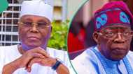 Da Dumi-Dumi: Bayan Samun Takardun Bayanan Karatun Tinubu, Atiku Ya Garzaya Kotun Koli