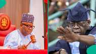 Breaking: Fresh tension as Senate takes action over alleged fake agency scandal in Tinubu's govt