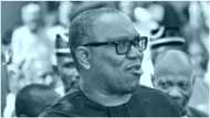 Yabon Peter Obi a Fili Ya Jawo Hadima Ta Rasa Mukami Nan-take a Gwamnatin PDP